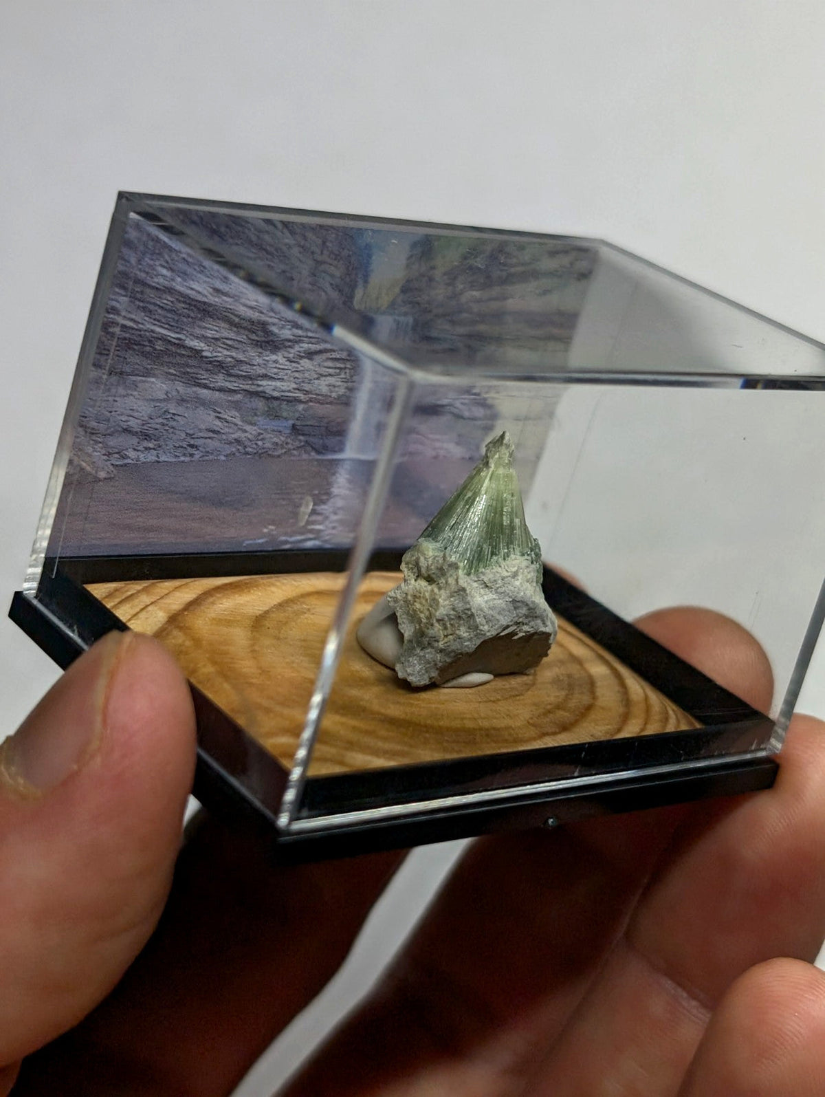 A green, crystalline mineral specimen with a pointed tip rests inside a clear acrylic display case on a wooden base.
