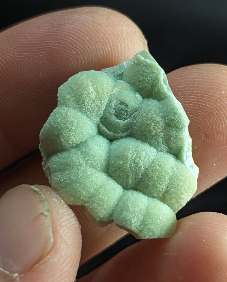 Wavellite ’Shell’ - Fantastic Old Stock - Mauldin Mountain Arkansas unique! - Collectibles:Rocks Fossils &