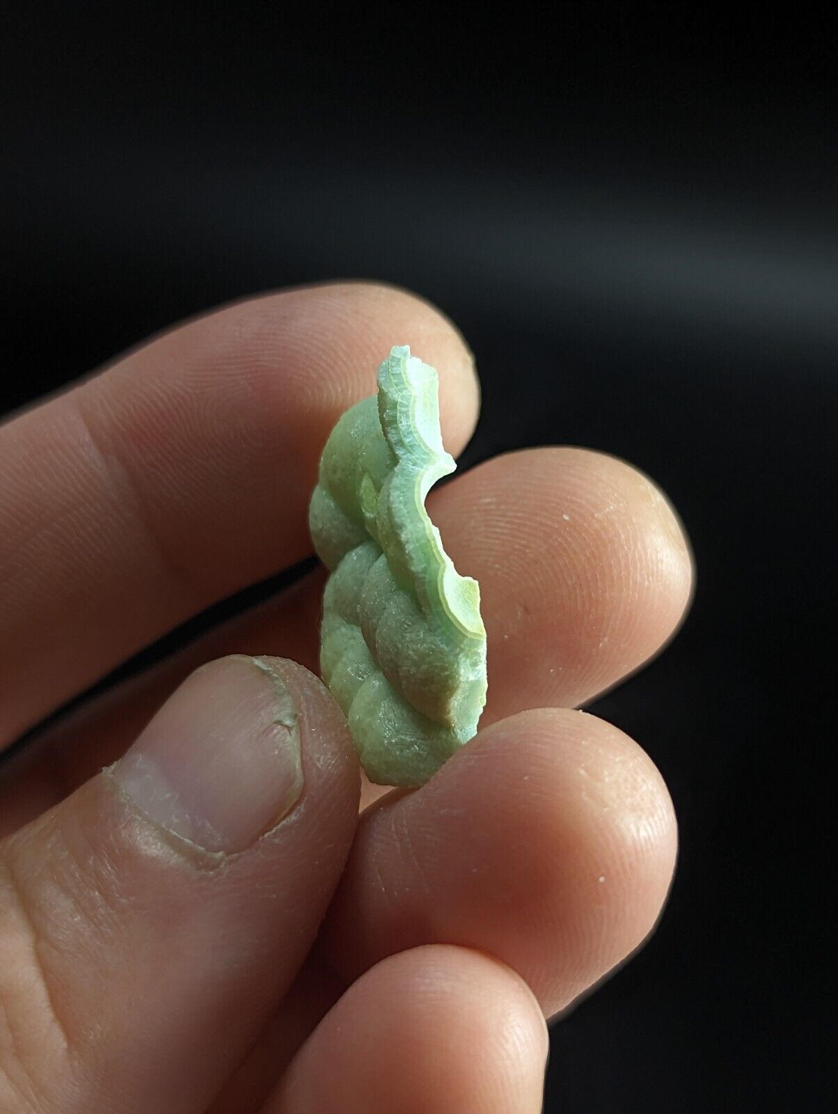 Wavellite ’Shell’ - Fantastic Old Stock - Mauldin Mountain Arkansas unique! - Collectibles:Rocks Fossils &