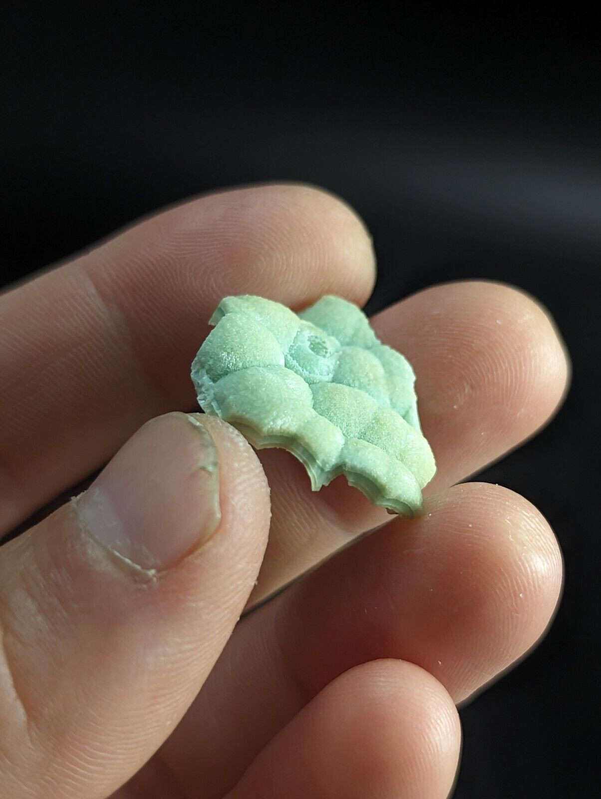 Wavellite ’Shell’ - Fantastic Old Stock - Mauldin Mountain Arkansas unique! - Collectibles:Rocks Fossils &