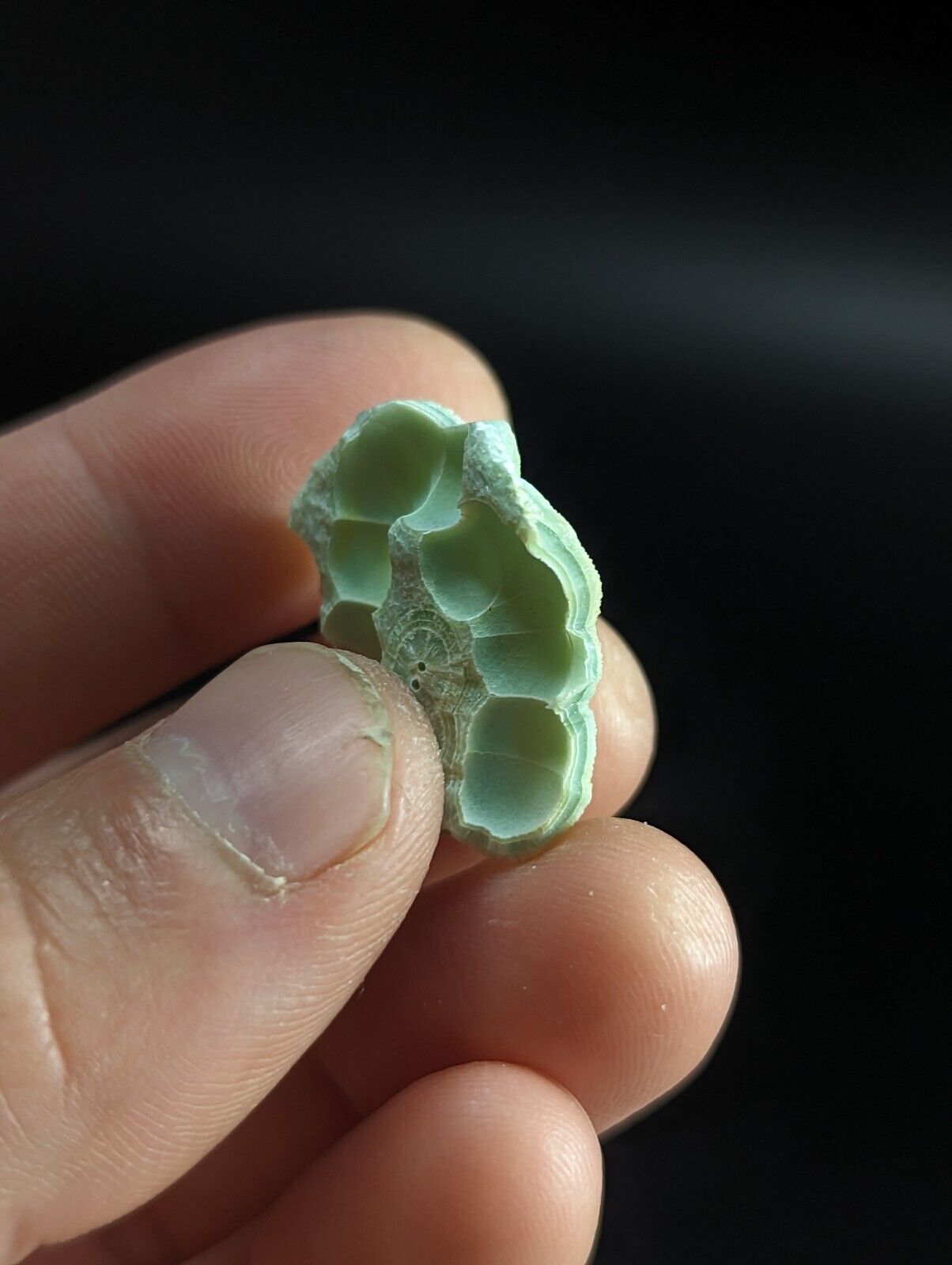 Wavellite ’Shell’ - Fantastic Old Stock - Mauldin Mountain Arkansas unique! - Collectibles:Rocks Fossils &