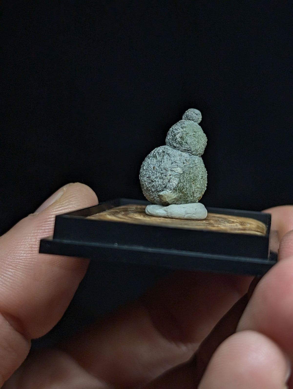 A textured, gray-green miniature gourd-shaped stone sculpture displayed on a wooden base within a black frame.