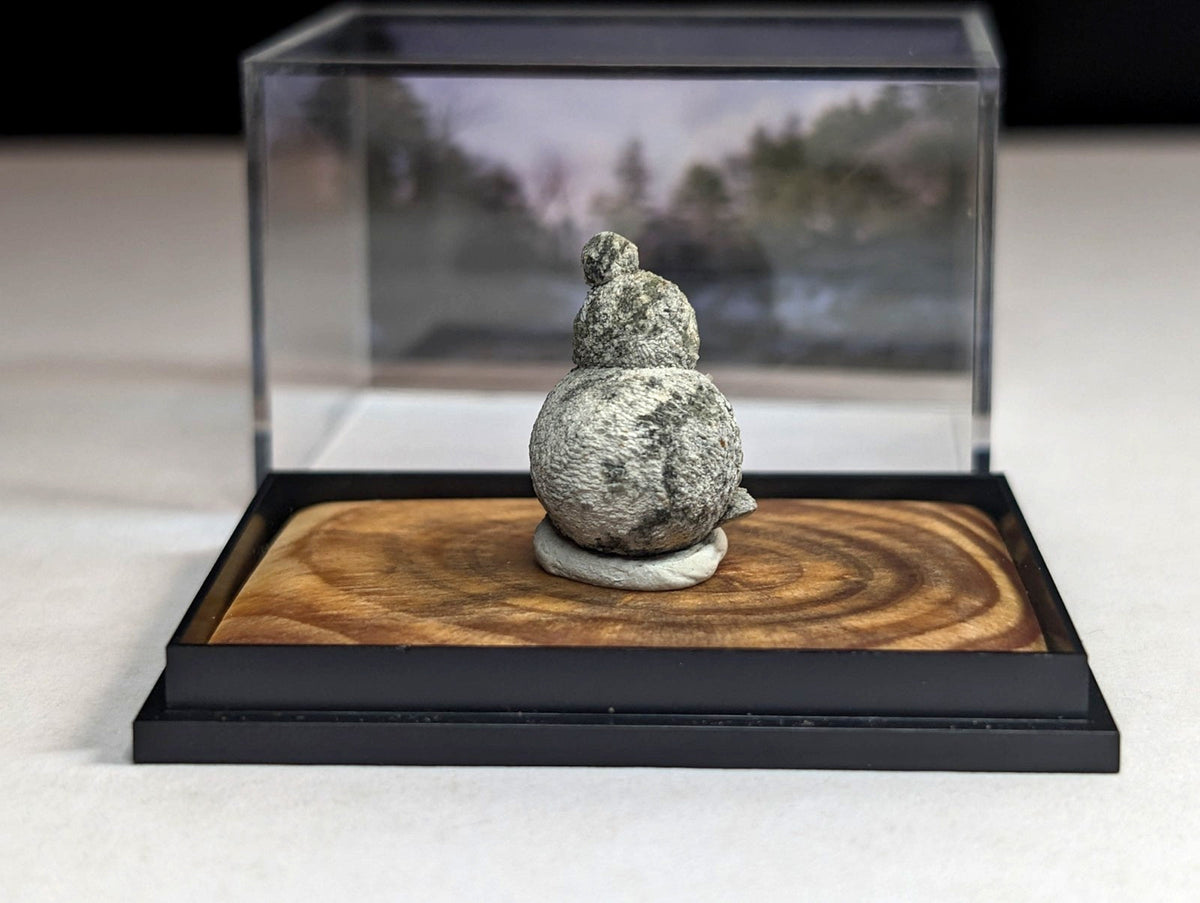 A gray, textured stone sculpture resembling a stacked gourd sits atop a circular wooden base within a clear acrylic display case.