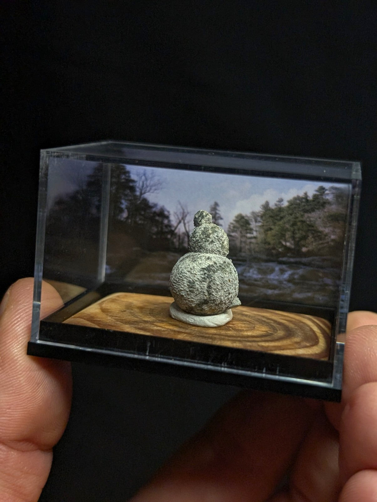 A textured, gray-green stone figurine resembling a seated creature with rounded forms sits atop a white base within a clear acrylic display case.