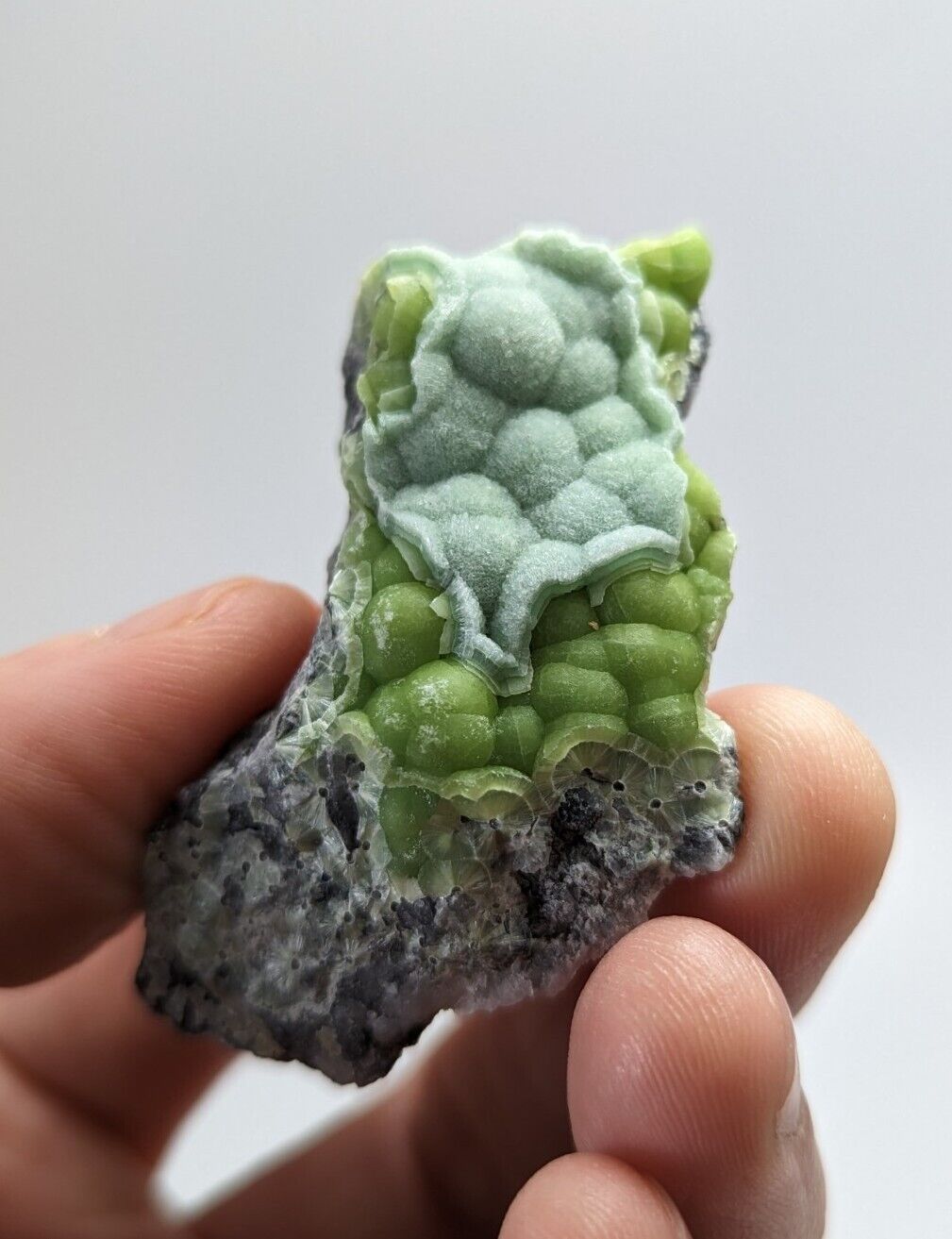 Wavellite Specimen - Rare 1990s Old Stock - Mauldin Mountain Arkansas ...
