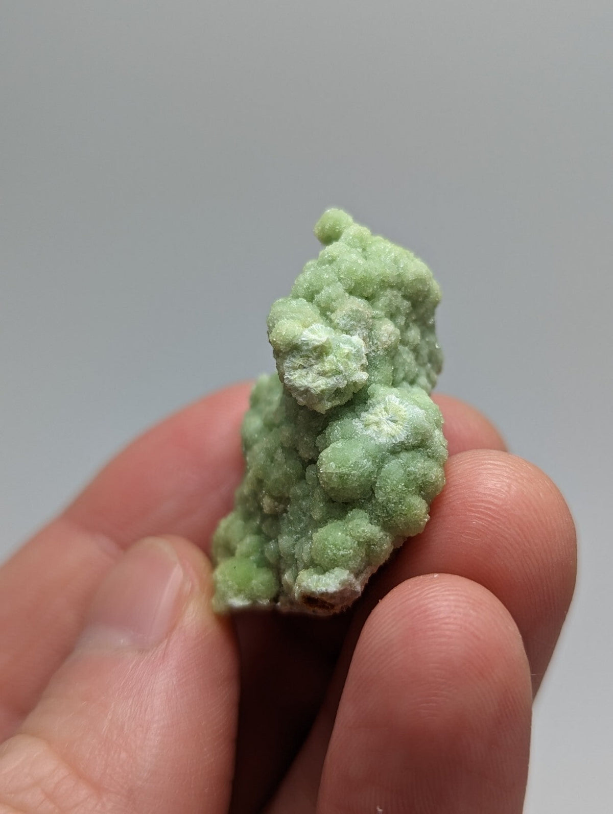 A pale green, textured mineral specimen with a rough, bumpy surface held gently in someone’s hand.
