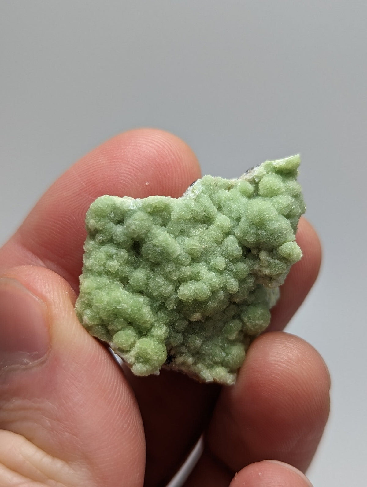 A light green, textured mineral specimen with a bumpy, crystalline surface held in someone’s hand.