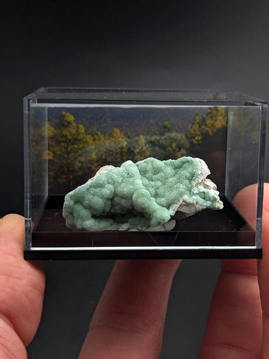 Wavellite - Unique Display w/ case - Old Stock - Mauldin Mountain Arkansas - Collectibles:Rocks Fossils &