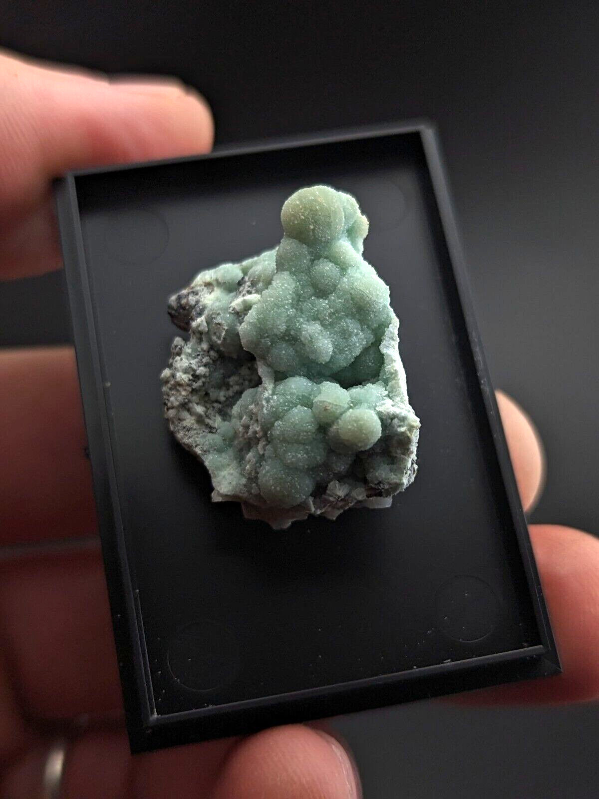 A pale green, bumpy mineral specimen with a crystalline texture rests in a black display box.