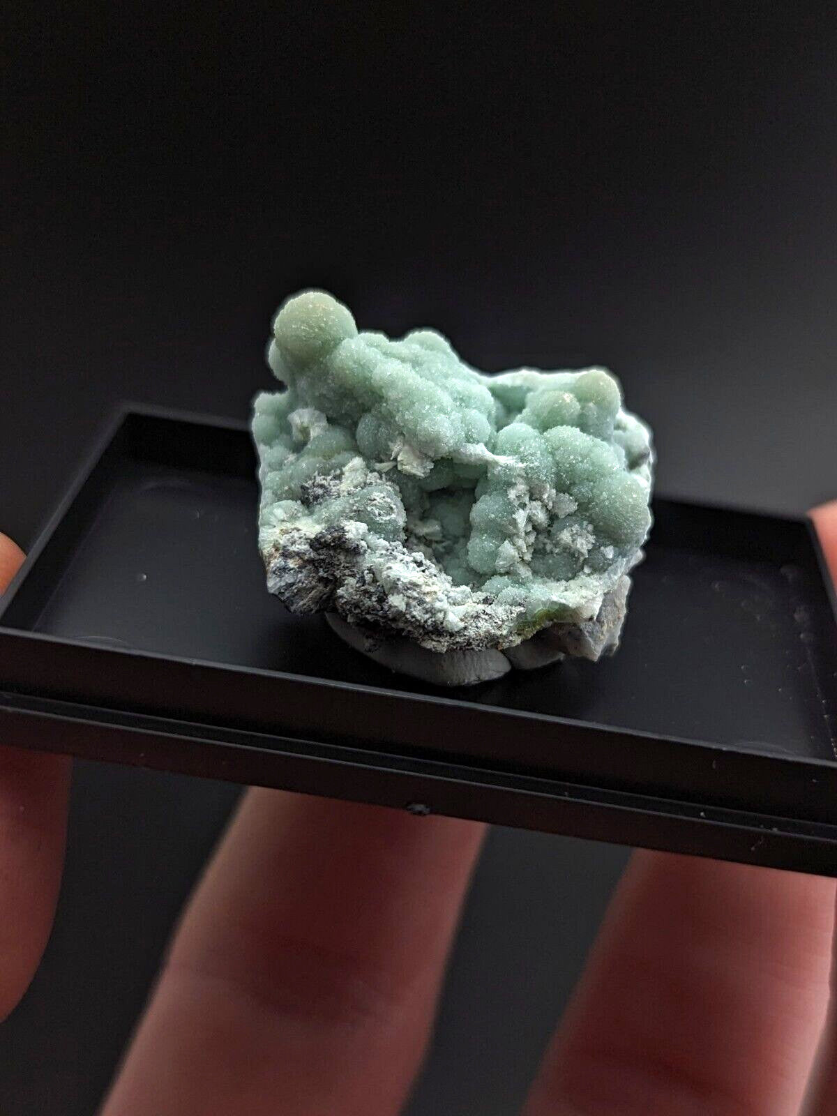 A delicate, light green mineral specimen with a fuzzy, bubbly texture and white crystalline patches rests in a black display tray.