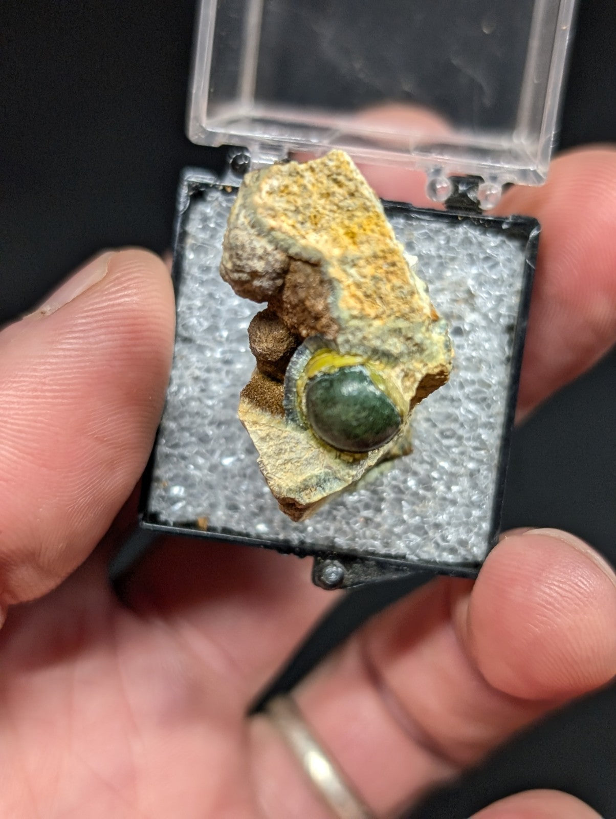 A polished green gemstone nestled within a rough, yellowish rock matrix.
