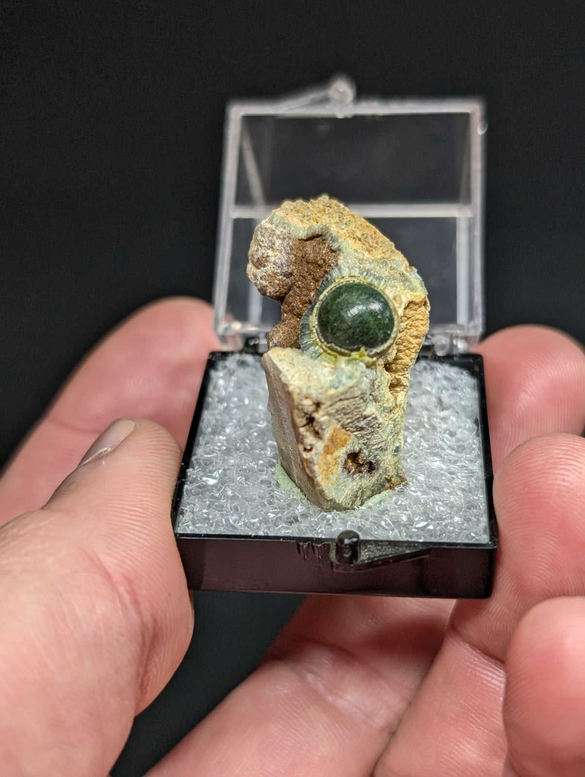 A polished green gemstone nestled within a textured, earthy-toned rock matrix.