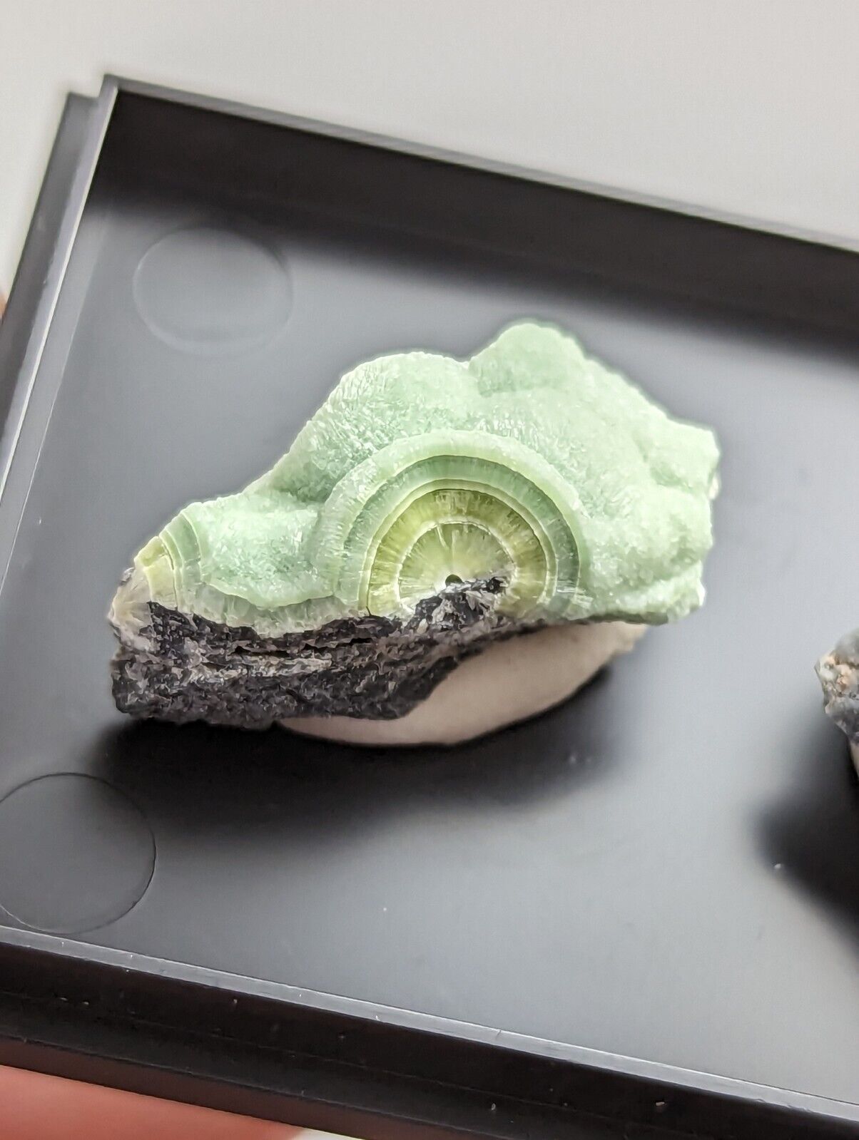 Wavellite - Unique Set of 2 w/ case - Old Stock - Mauldin Mountain Arkansas - Collectibles:Rocks Fossils &