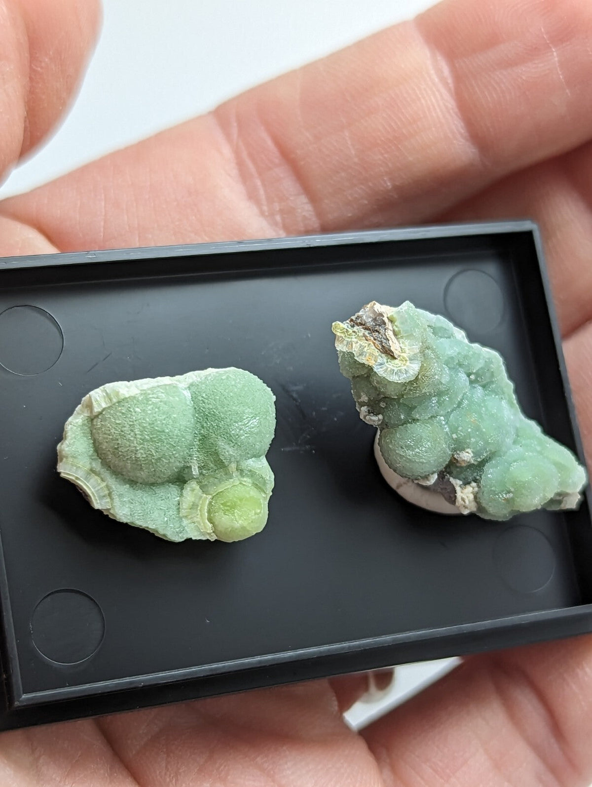 Two light green, bumpy mineral specimens with a slightly translucent and textured surface.