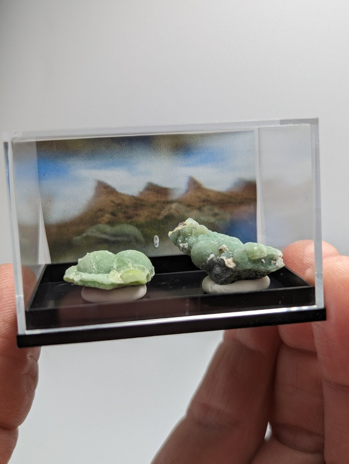 A clear acrylic display case holding two green mineral specimens on white bases, with a printed desert landscape backdrop.
