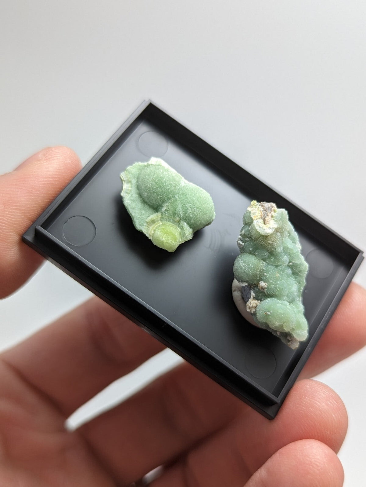Two pale green, naturally formed mineral specimens with a slightly frosted texture are displayed in a sleek black rectangular tray.