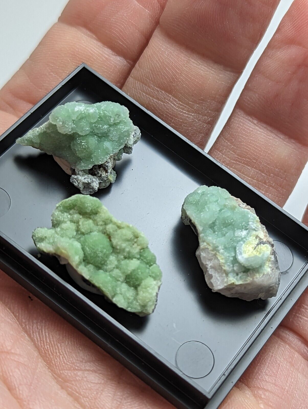 Wavellite - Unique Set of 3 w/ case - Mauldin Mountain Arkansas - Collectibles:Rocks Fossils & Minerals:Crystals