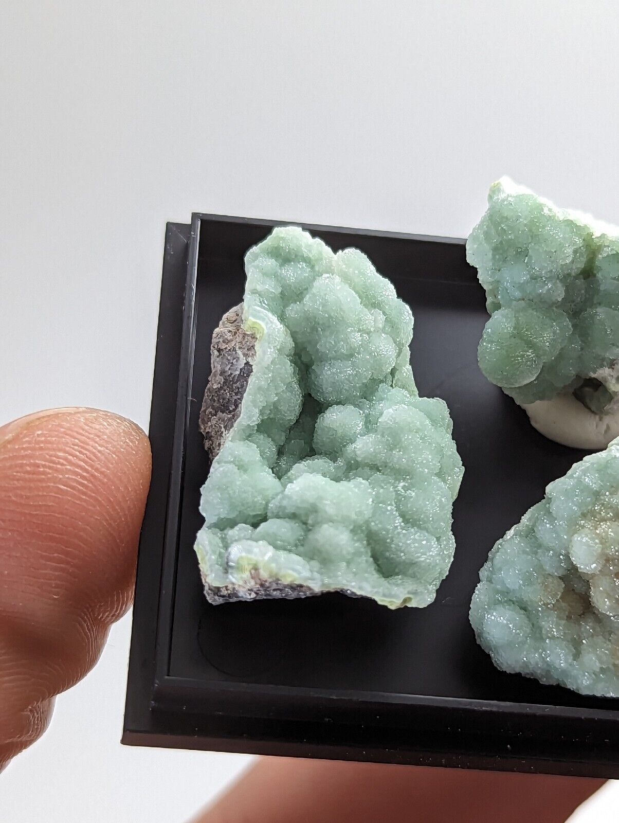 Wavellite - Unique Set of 3 w/ case - Mauldin Mountain Arkansas - Collectibles:Rocks Fossils & Minerals:Crystals