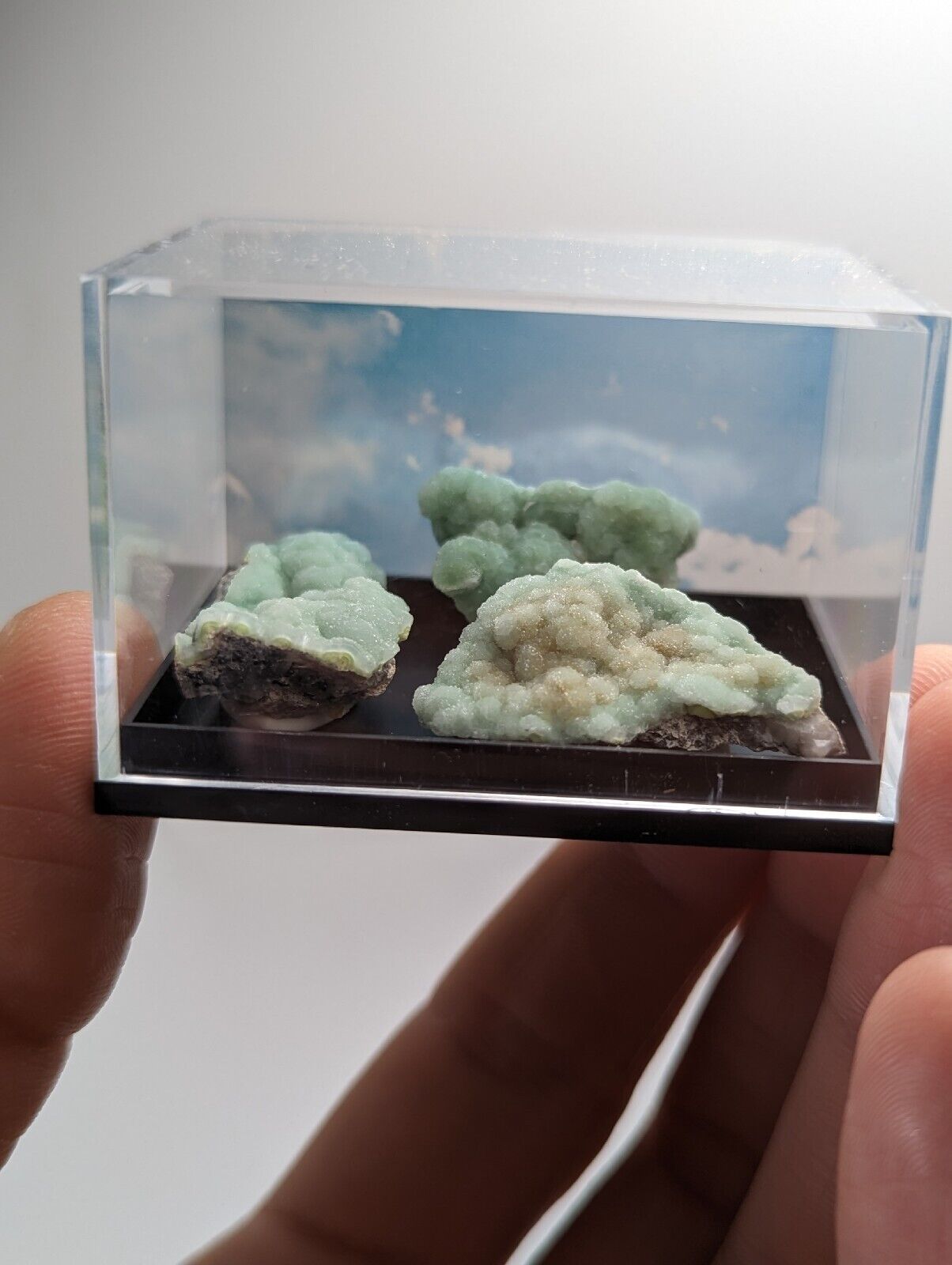 Wavellite - Unique Set of 3 w/ case - Mauldin Mountain Arkansas - Collectibles:Rocks Fossils & Minerals:Crystals