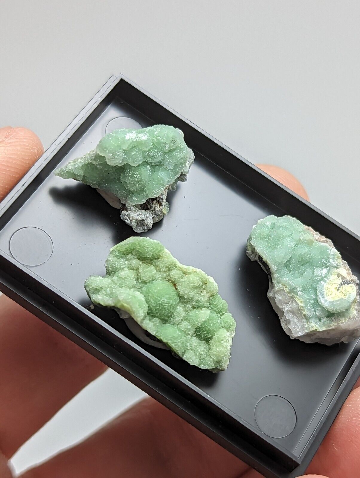 Wavellite - Unique Set of 3 w/ case - Mauldin Mountain Arkansas - Collectibles:Rocks Fossils & Minerals:Crystals