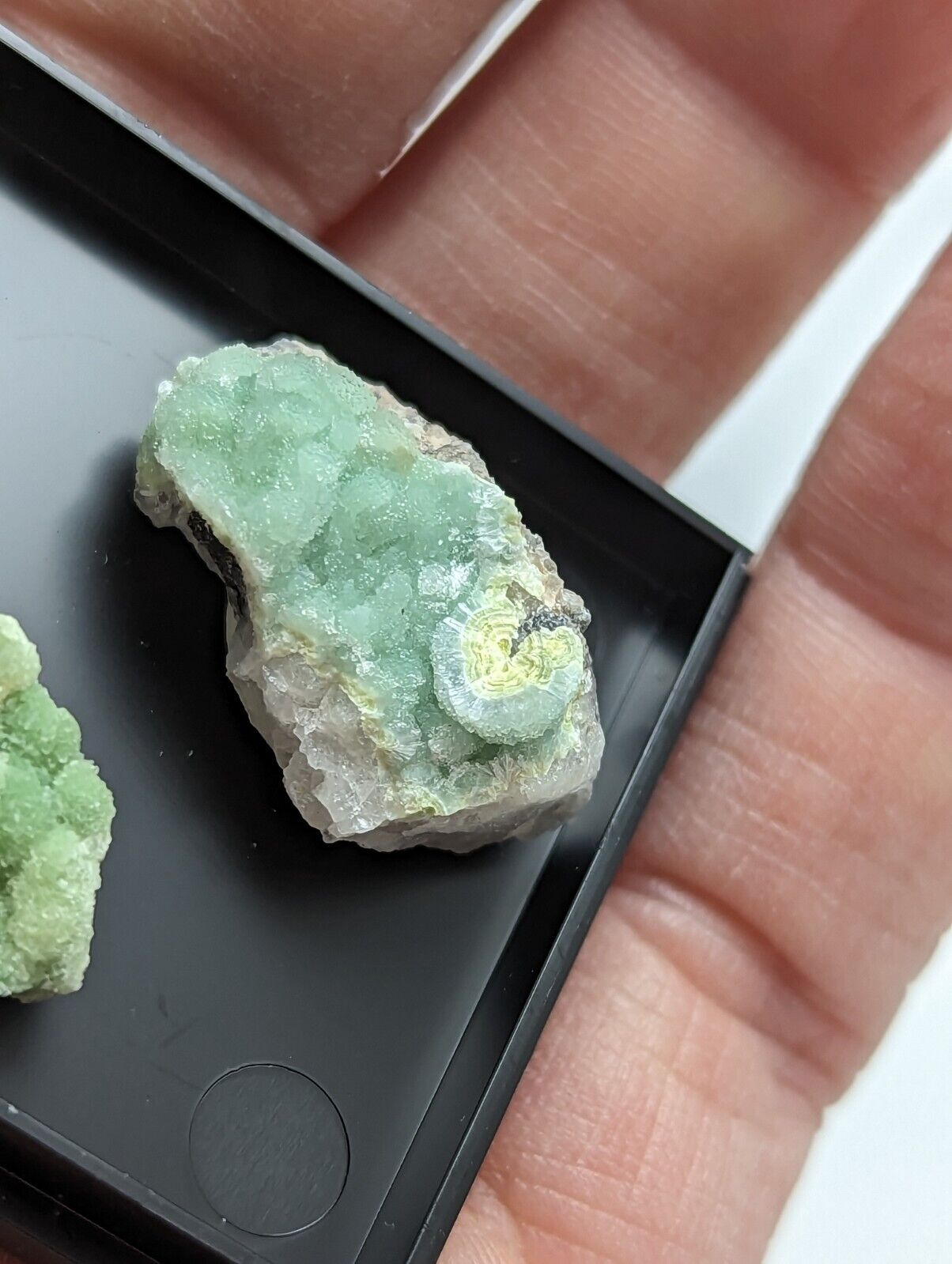 Wavellite - Unique Set of 3 w/ case - Mauldin Mountain Arkansas - Collectibles:Rocks Fossils & Minerals:Crystals