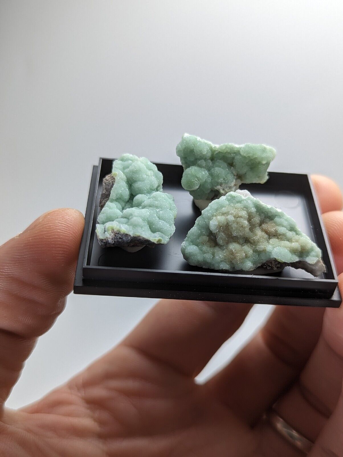 Wavellite - Unique Set of 3 w/ case - Mauldin Mountain Arkansas - Collectibles:Rocks Fossils & Minerals:Crystals