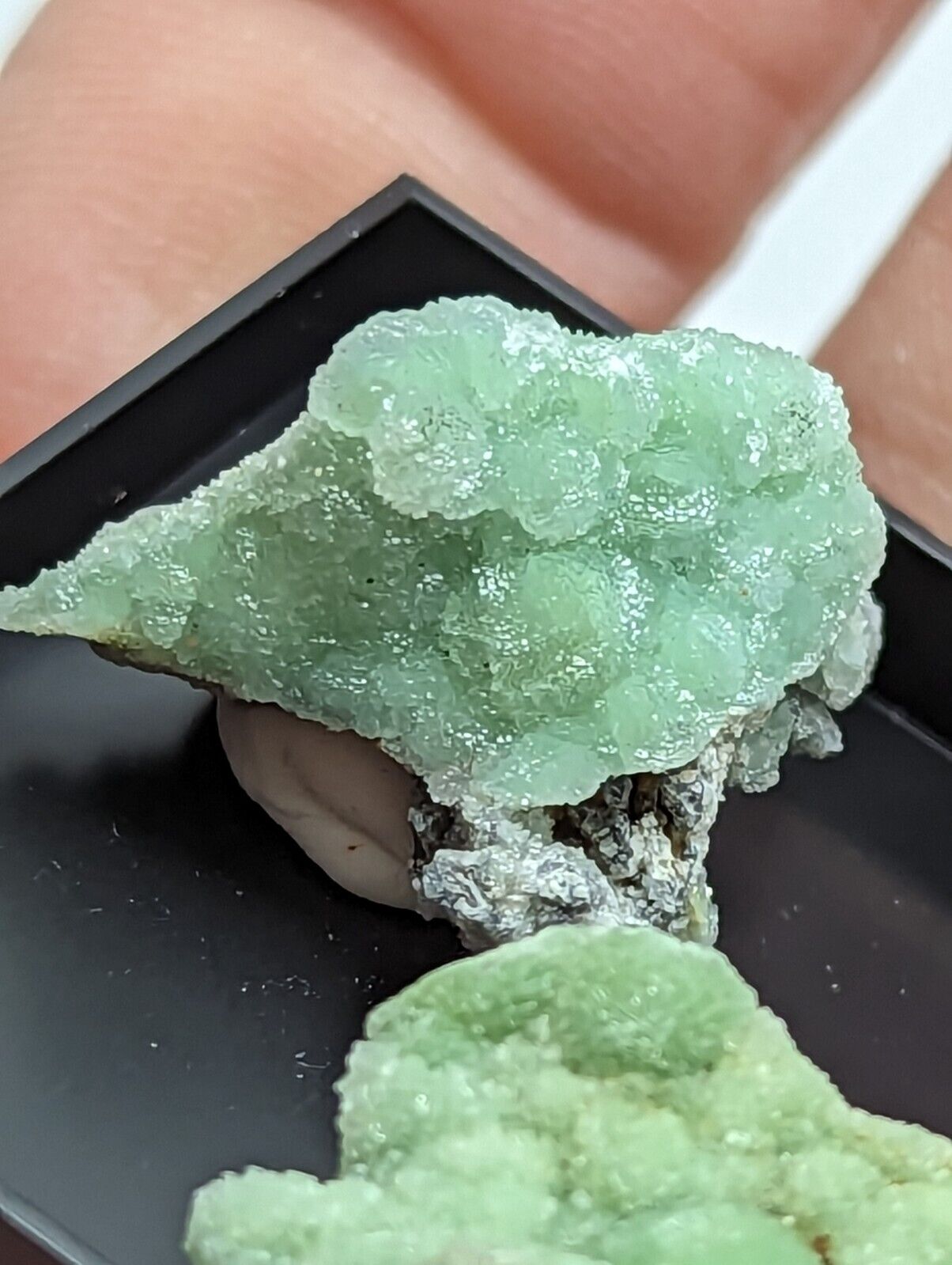 Wavellite - Unique Set of 3 w/ case - Mauldin Mountain Arkansas - Collectibles:Rocks Fossils & Minerals:Crystals