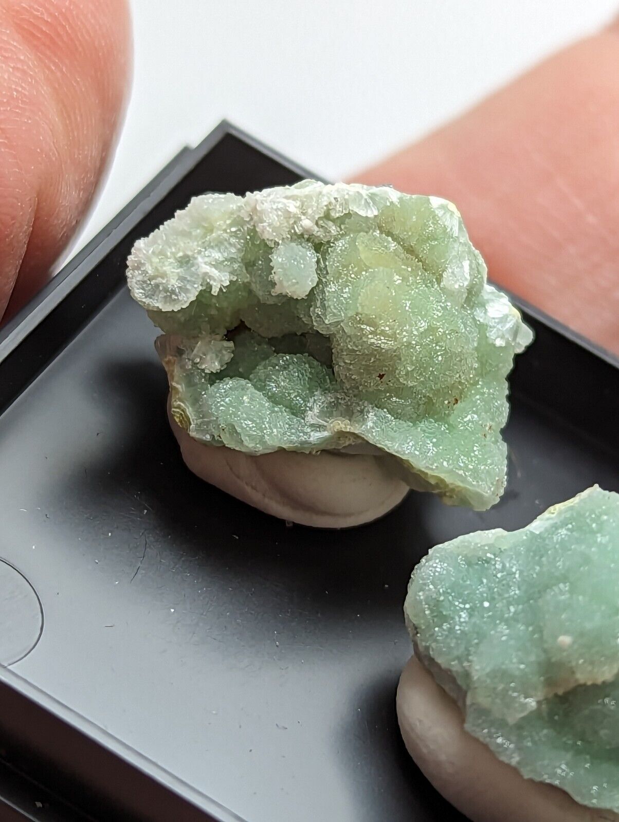 Wavellite - Unique Set of 3 w/ case - Old Stock - Mauldin Mountain Arkansas - Collectibles:Rocks Fossils &