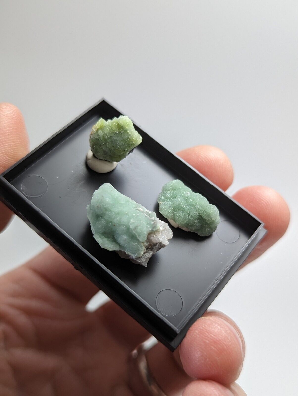 Wavellite - Unique Set of 3 w/ case - Old Stock - Mauldin Mountain Arkansas - Collectibles:Rocks Fossils &