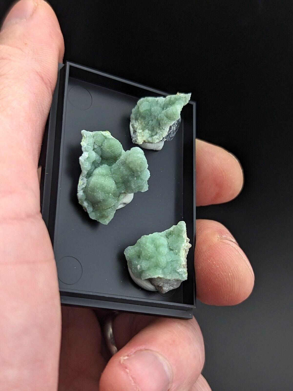Wavellite - Unique Set of 3 w/ case - Old Stock - Mauldin Mountain Arkansas - Collectibles:Rocks Fossils &
