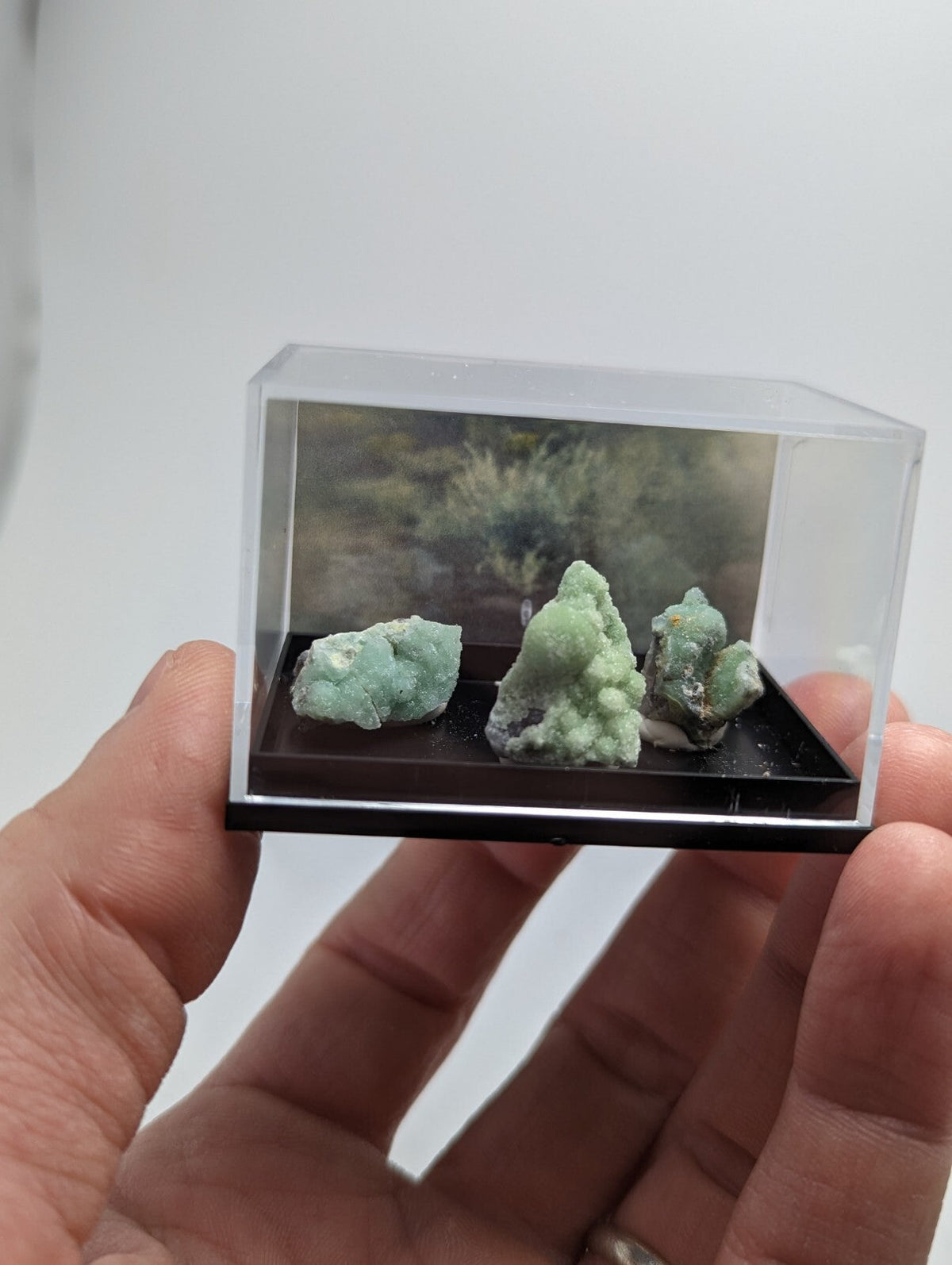 A clear acrylic display case holding three small, light green mineral specimens with rough, crystalline surfaces.