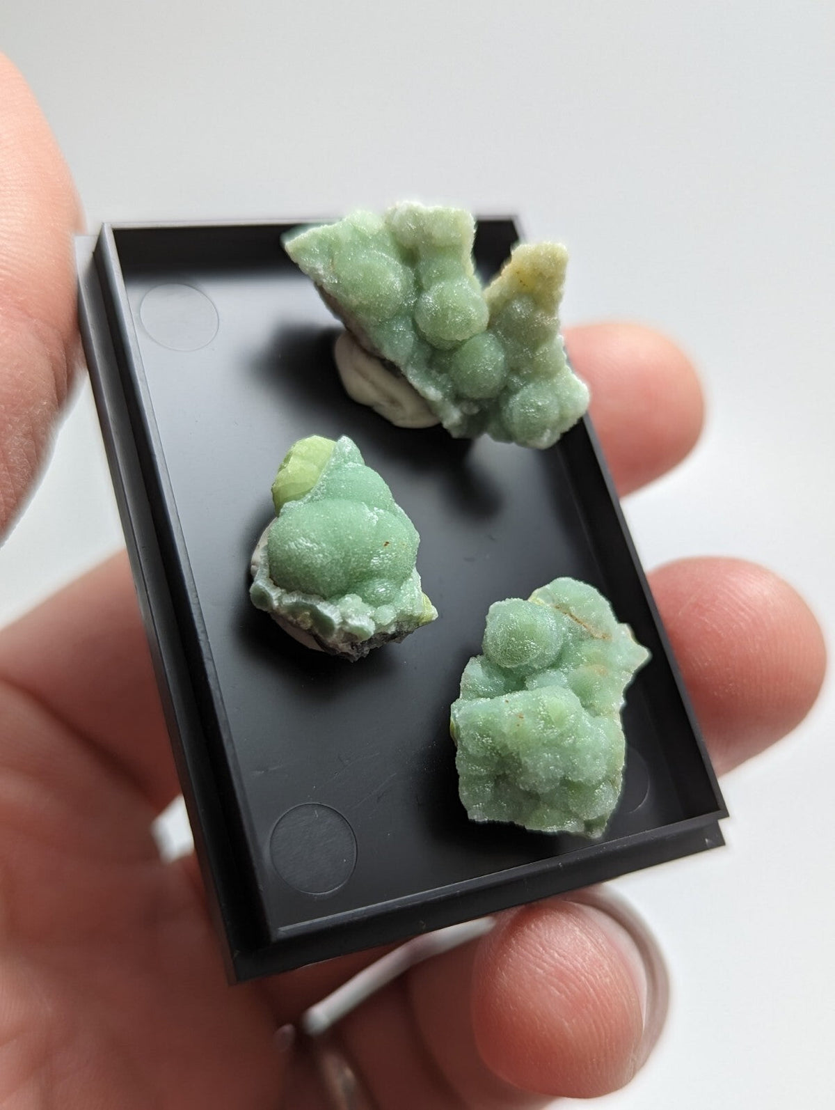 Three light green, bumpy mineral specimens with a crystalline texture are displayed in a black plastic tray.