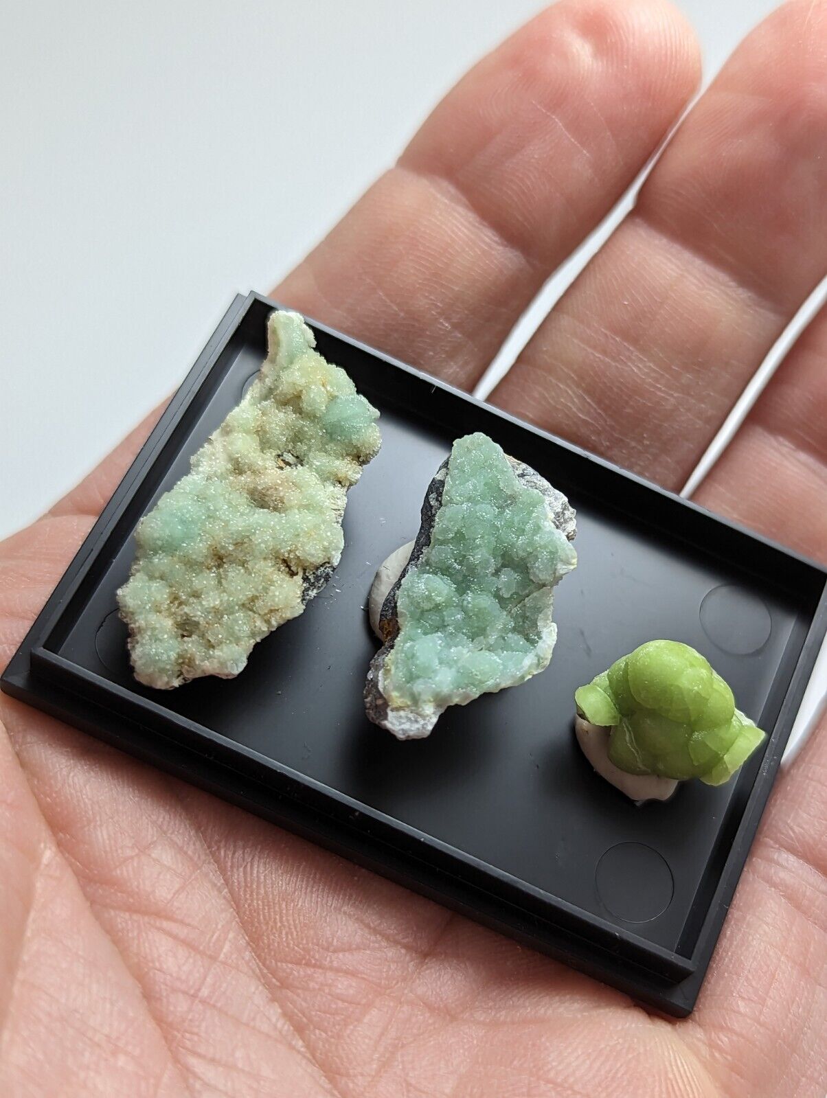 Wavellite - Unique Set of 3 w/ case - Old Stock - Mauldin Mountain Arkansas - Collectibles:Rocks Fossils &