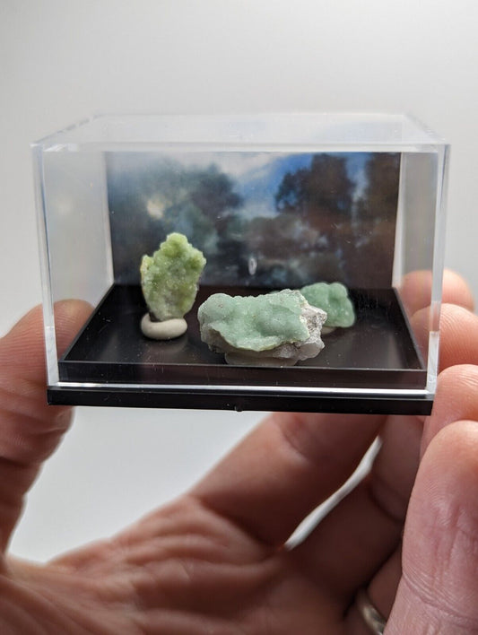 Wavellite - Unique Set of 3 w/ case - Old Stock - Mauldin Mountain Arkansas - Collectibles:Rocks Fossils &