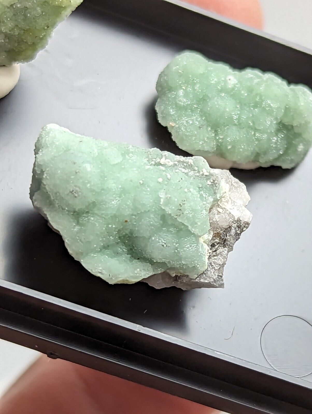 Wavellite - Unique Set of 3 w/ case - Old Stock - Mauldin Mountain Arkansas - Collectibles:Rocks Fossils &