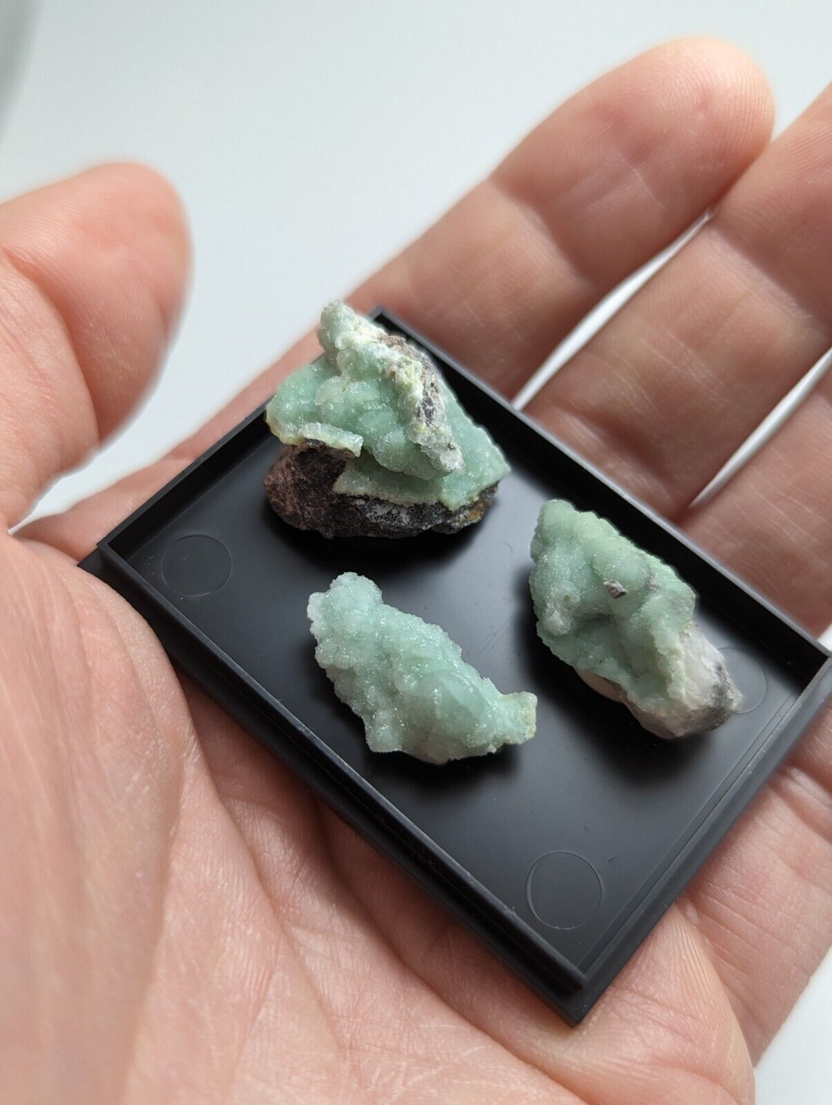 Wavellite - Unique Set of 3 w/ case - Old Stock - Mauldin Mountain Arkansas - Collectibles:Rocks Fossils &