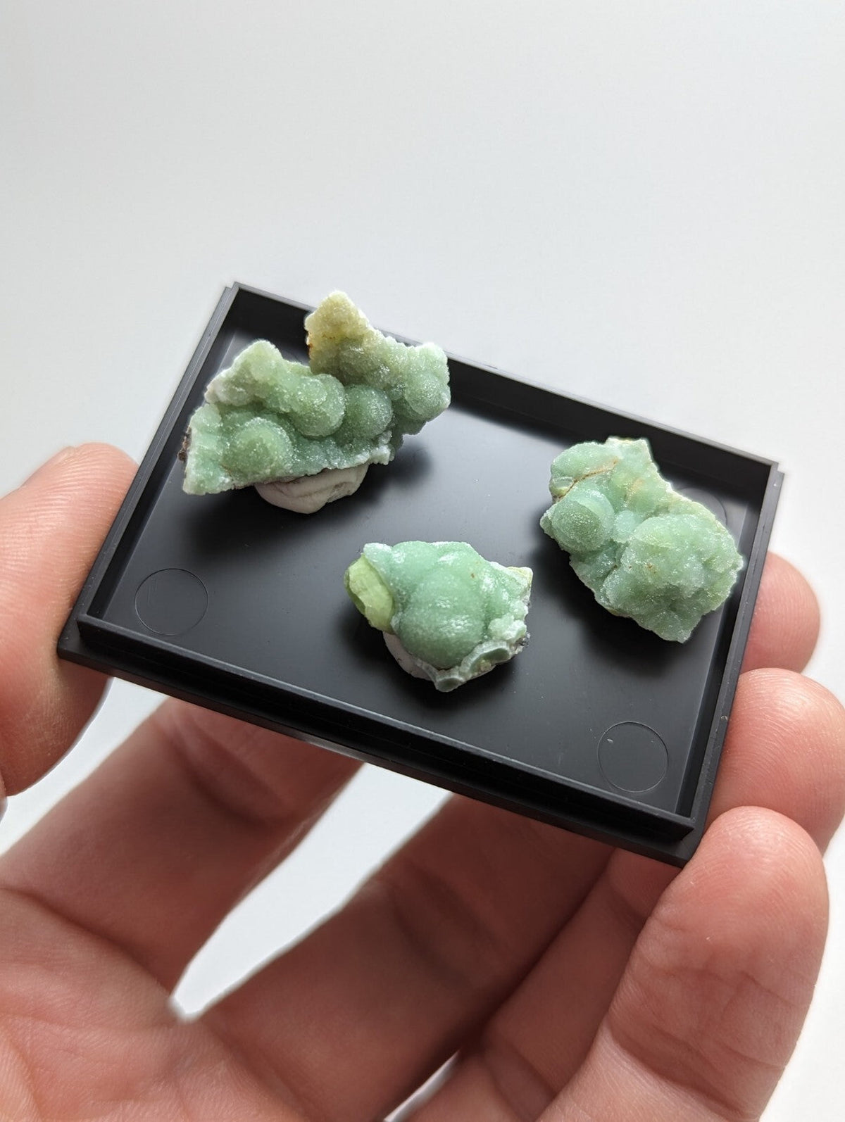 Three light green, bumpy mineral specimens with hints of yellow resting on a black display tray.