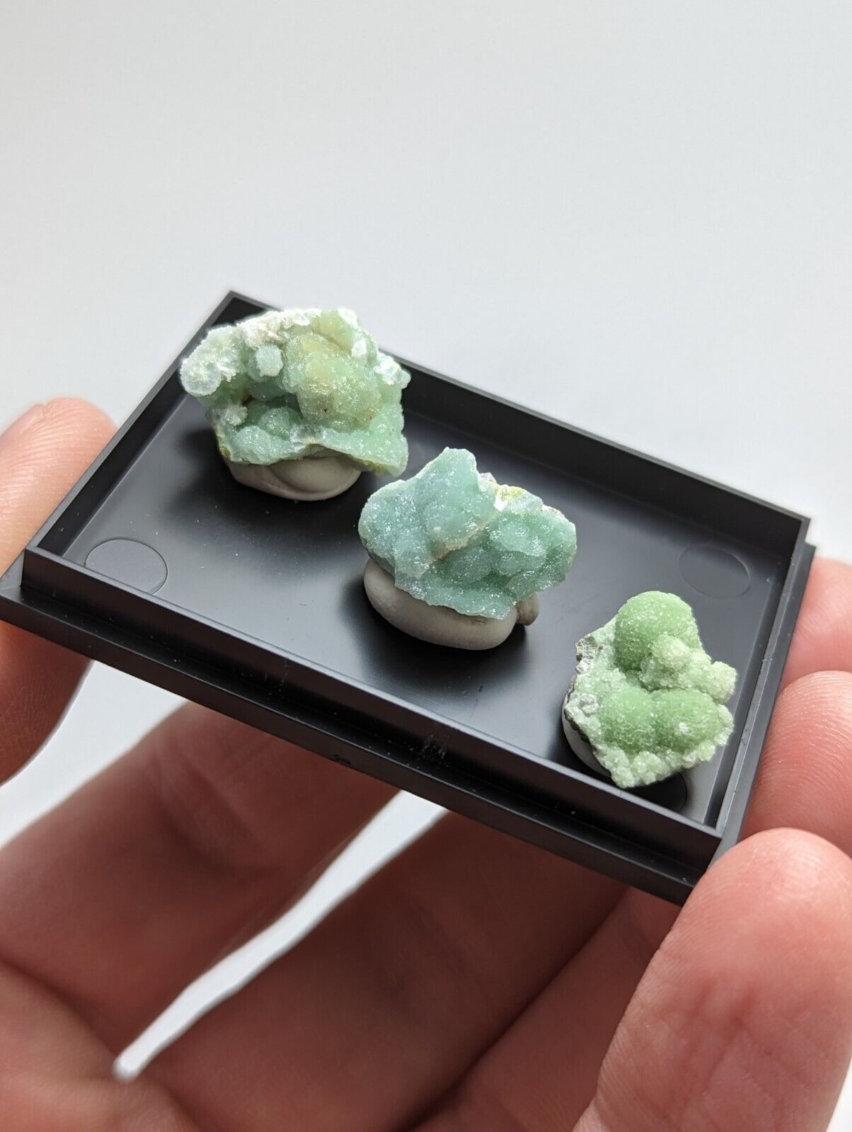 Wavellite - Unique Set of 3 w/ case - Old Stock - Mauldin Mountain Arkansas - Collectibles:Rocks Fossils &