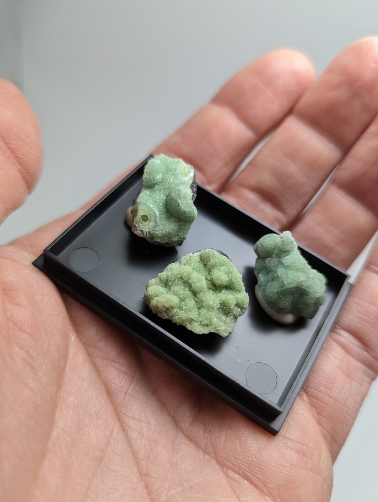 Wavellite - Unique Set of 3 w/ case - Old Stock - Mauldin Mountain Arkansas - Collectibles:Rocks Fossils &