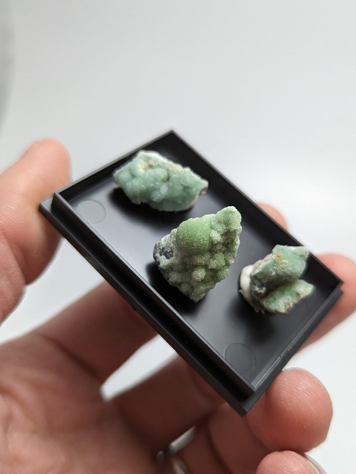 Three light green, crystalline mineral specimens rest in a sleek black display tray held gently by a hand.