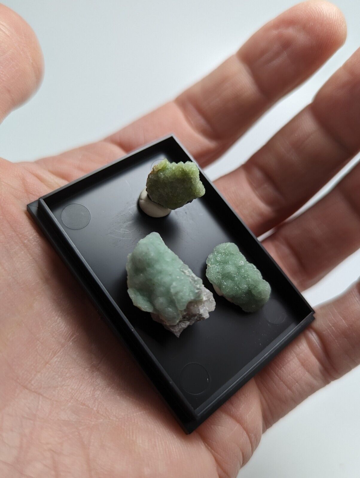 Wavellite - Unique Set of 3 w/ case - Old Stock - Mauldin Mountain Arkansas - Collectibles:Rocks Fossils &