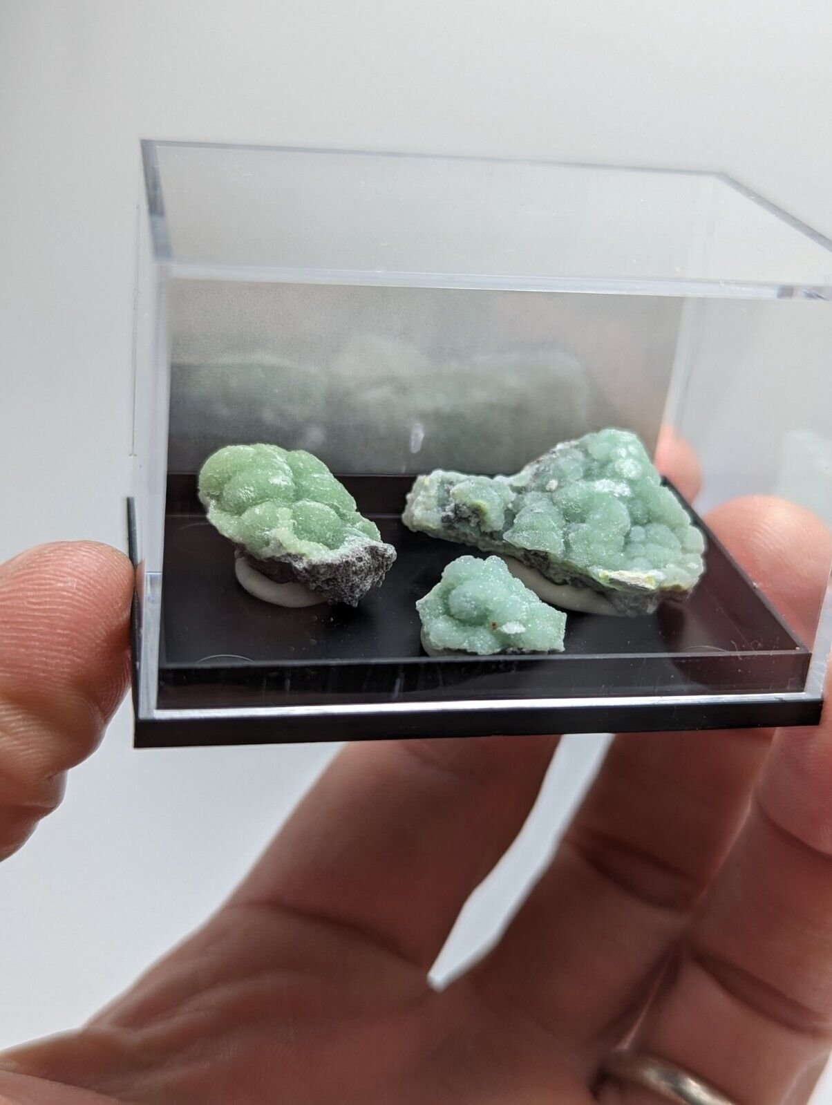 Wavellite - Unique Set of 3 w/ case - Old Stock - Mauldin Mountain Arkansas - Collectibles:Rocks Fossils &