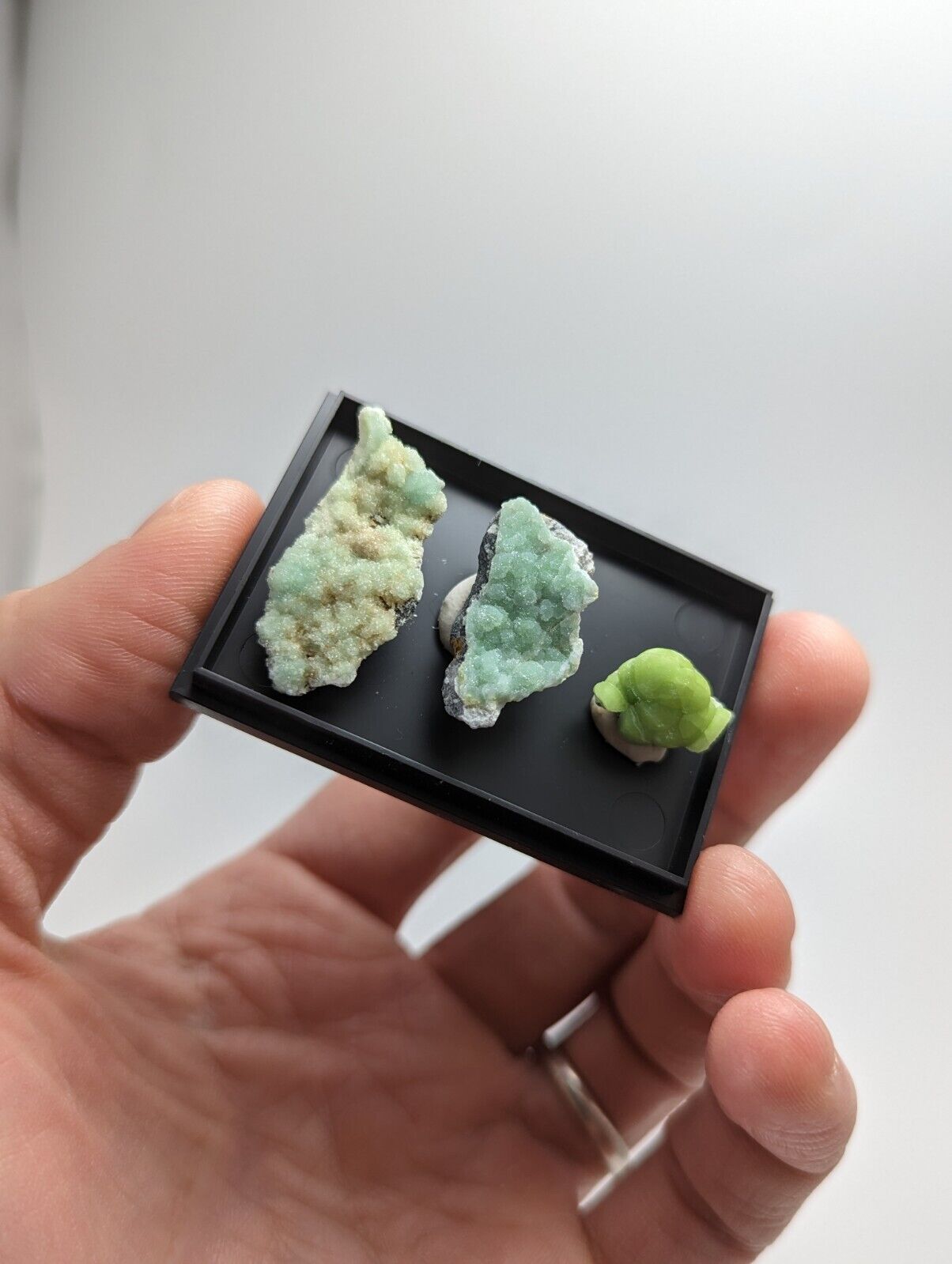 Wavellite - Unique Set of 3 w/ case - Old Stock - Mauldin Mountain Arkansas - Collectibles:Rocks Fossils &