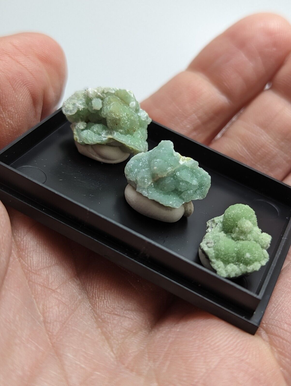 Wavellite - Unique Set of 3 w/ case - Old Stock - Mauldin Mountain Arkansas - Collectibles:Rocks Fossils &
