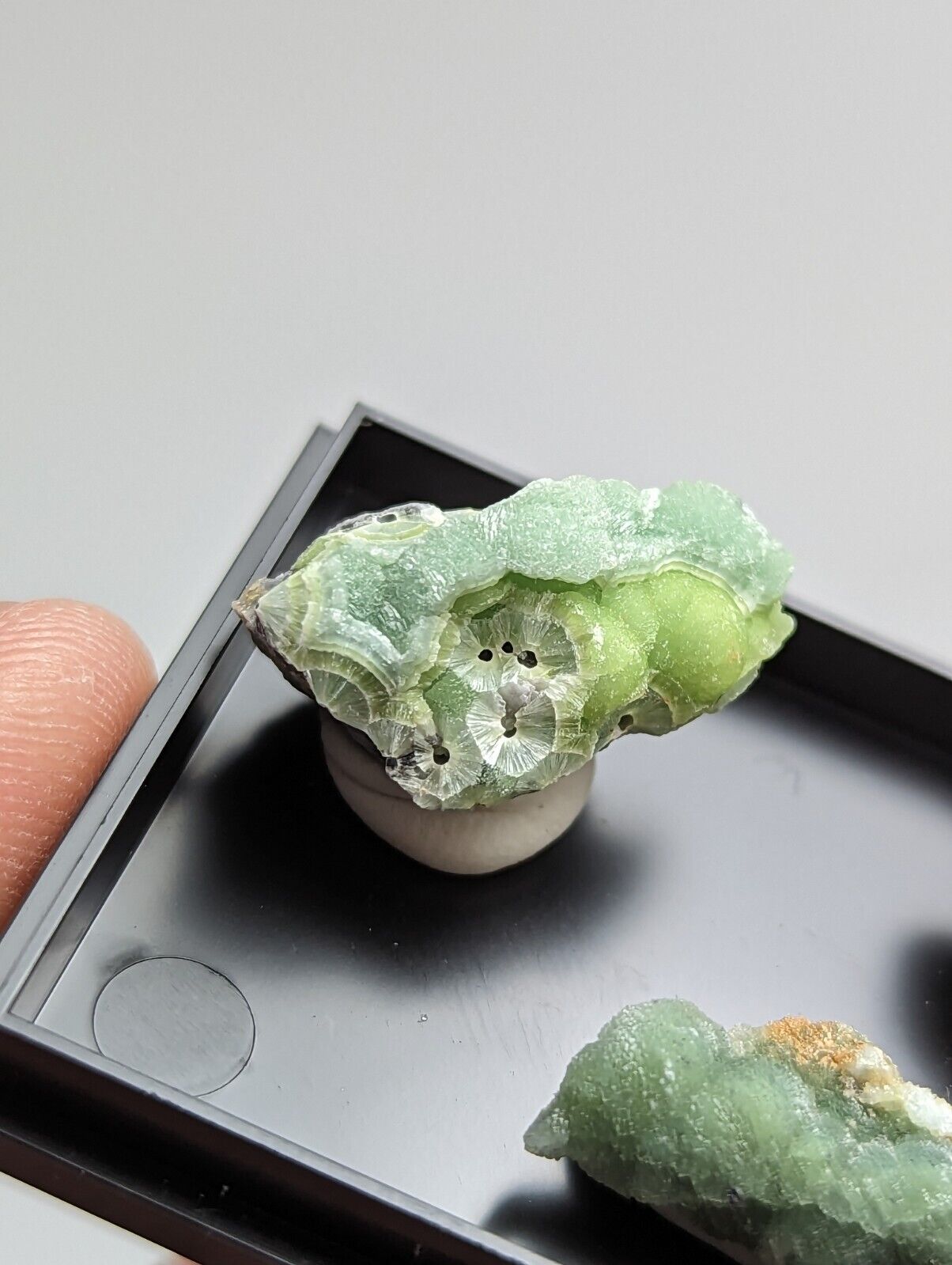 Wavellite - Unique Set of 3 w/ case - Old Stock - Mauldin Mountain Arkansas - Collectibles:Rocks Fossils &