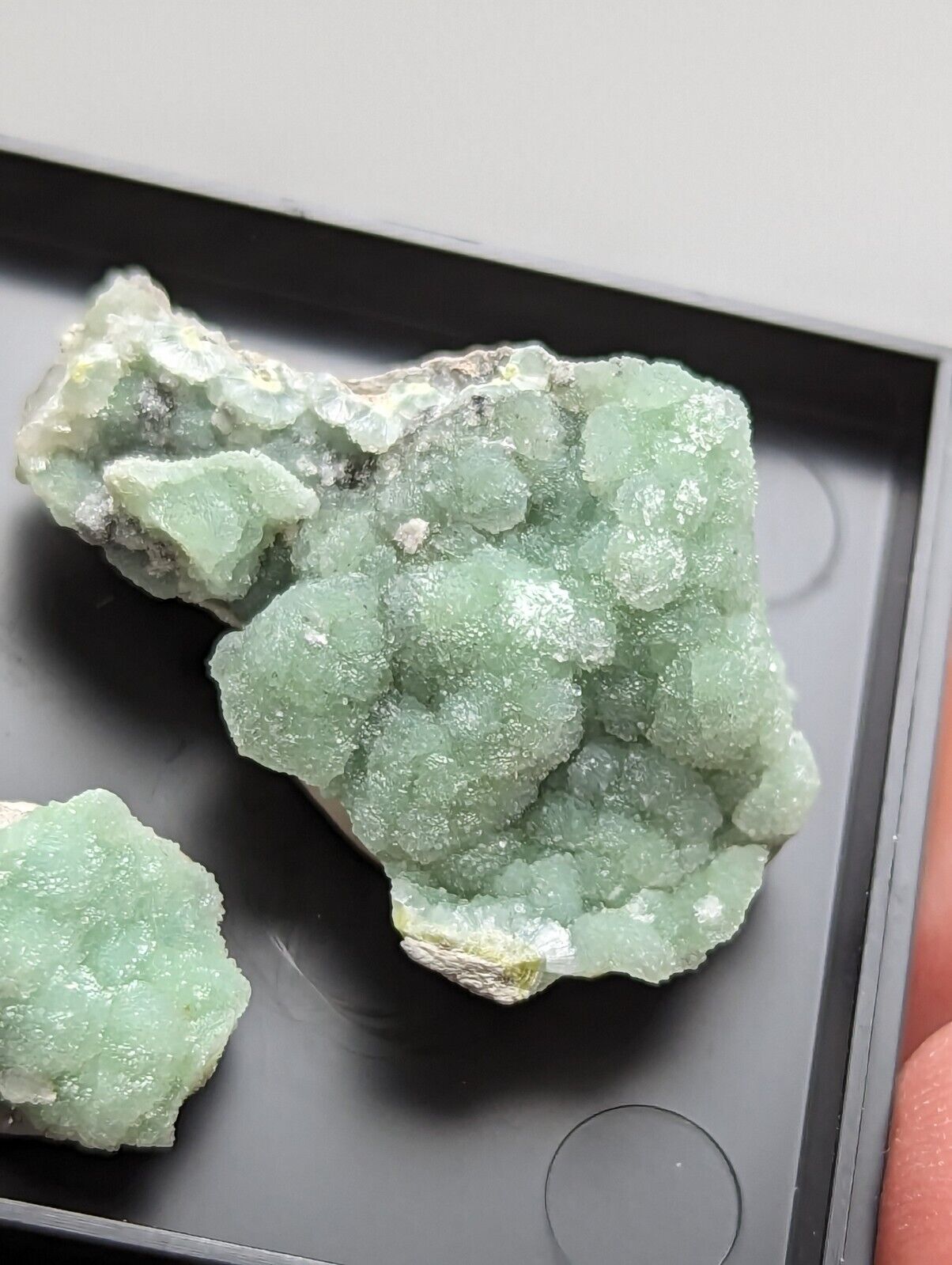 Wavellite - Unique Set of 3 w/ case - Old Stock - Mauldin Mountain Arkansas - Collectibles:Rocks Fossils &