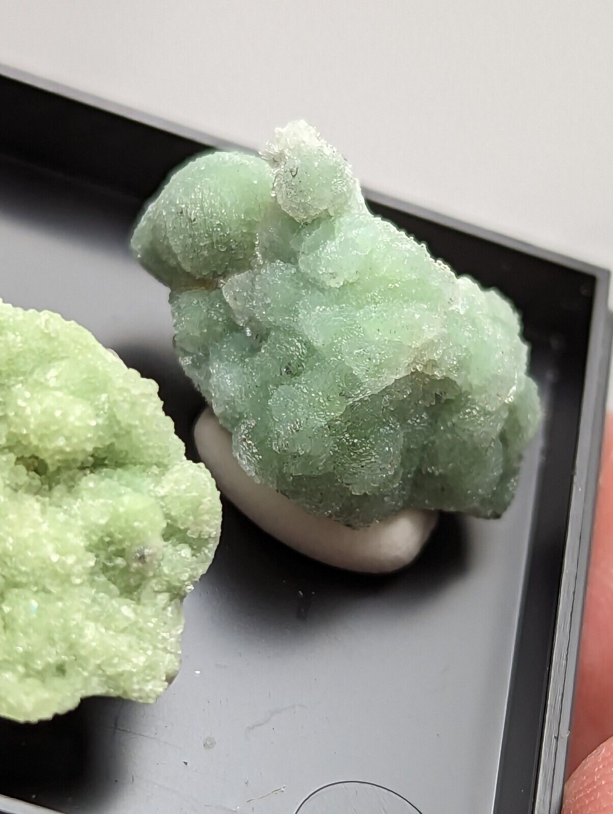 Wavellite - Unique Set of 3 w/ case - Old Stock - Mauldin Mountain Arkansas - Collectibles:Rocks Fossils &