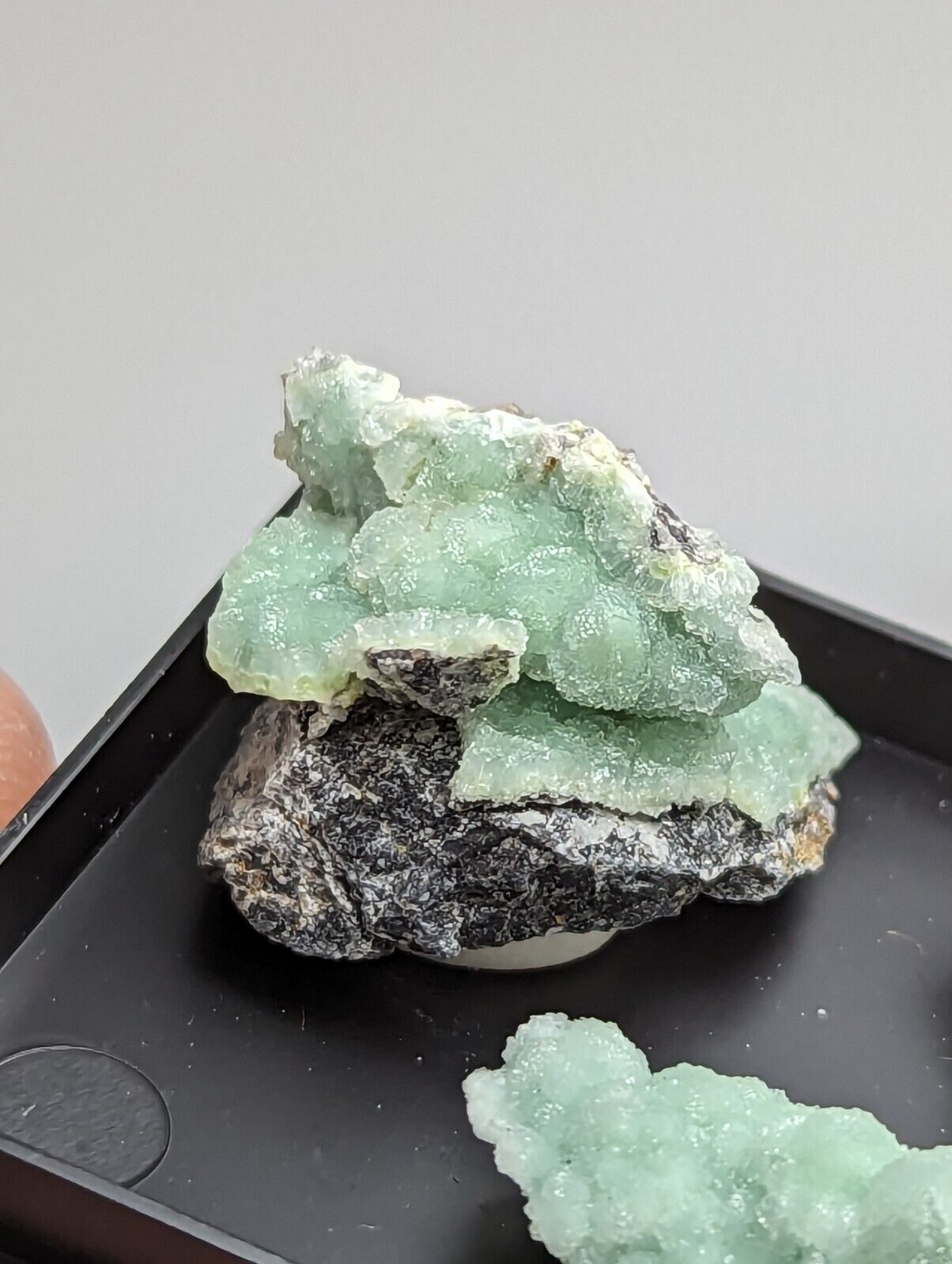 Wavellite - Unique Set of 3 w/ case - Old Stock - Mauldin Mountain Arkansas - Collectibles:Rocks Fossils &