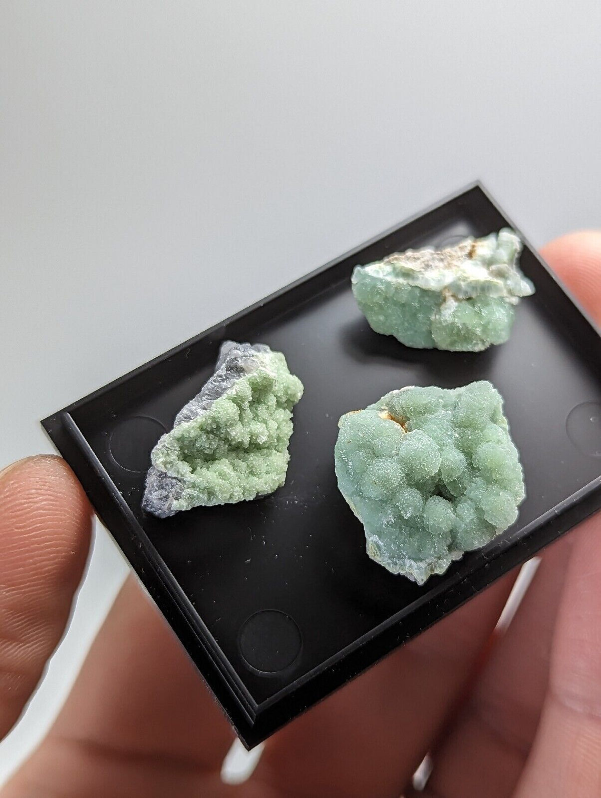 Wavellite - Unique Set of 3 w/ case - Old Stock - Mauldin Mountain Arkansas - Collectibles:Rocks Fossils &