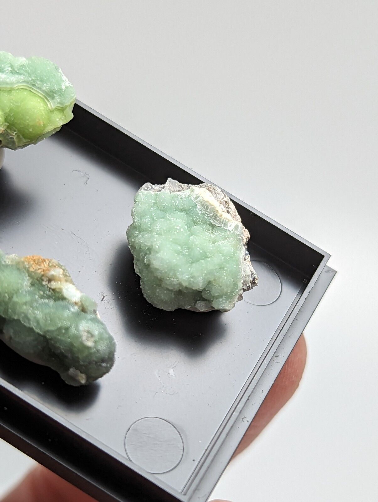 Wavellite - Unique Set of 3 w/ case - Old Stock - Mauldin Mountain Arkansas - Collectibles:Rocks Fossils &